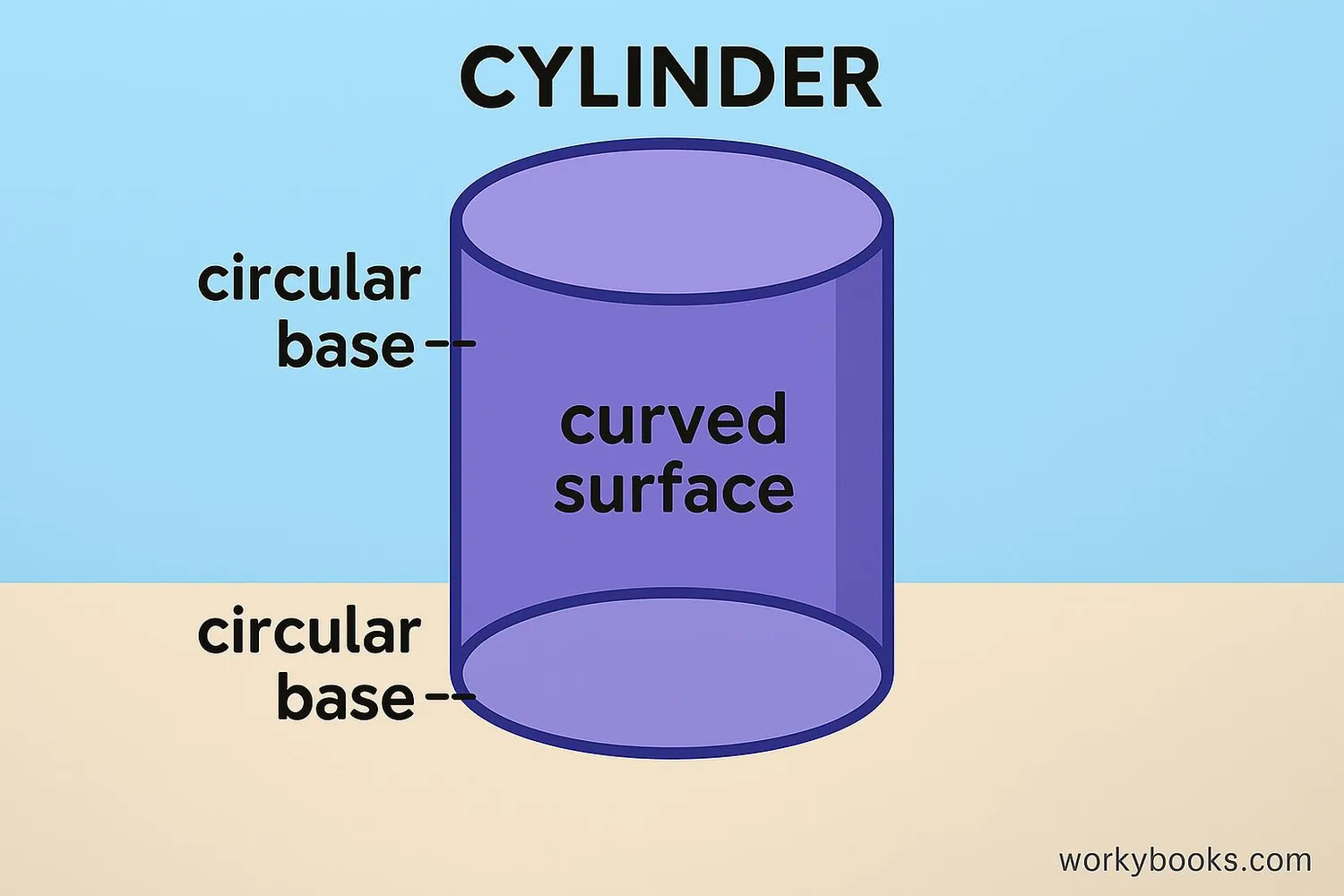 3D illustration of a cylinder with labeled parts: two circular bases and a curved surface connecting them