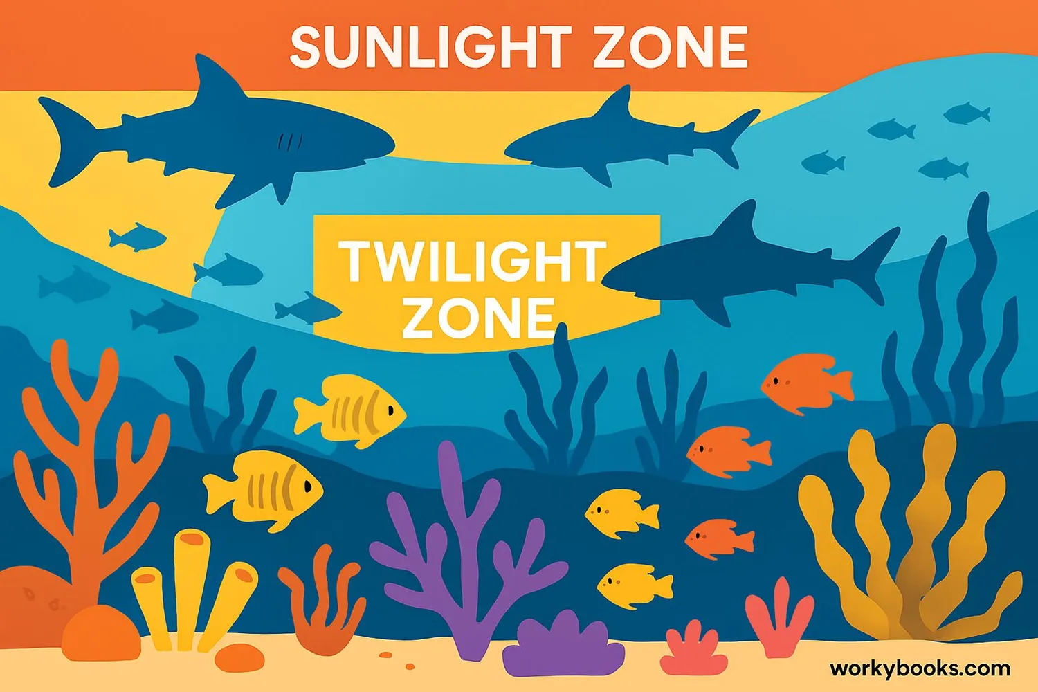 Image showing Marine ecosystems
