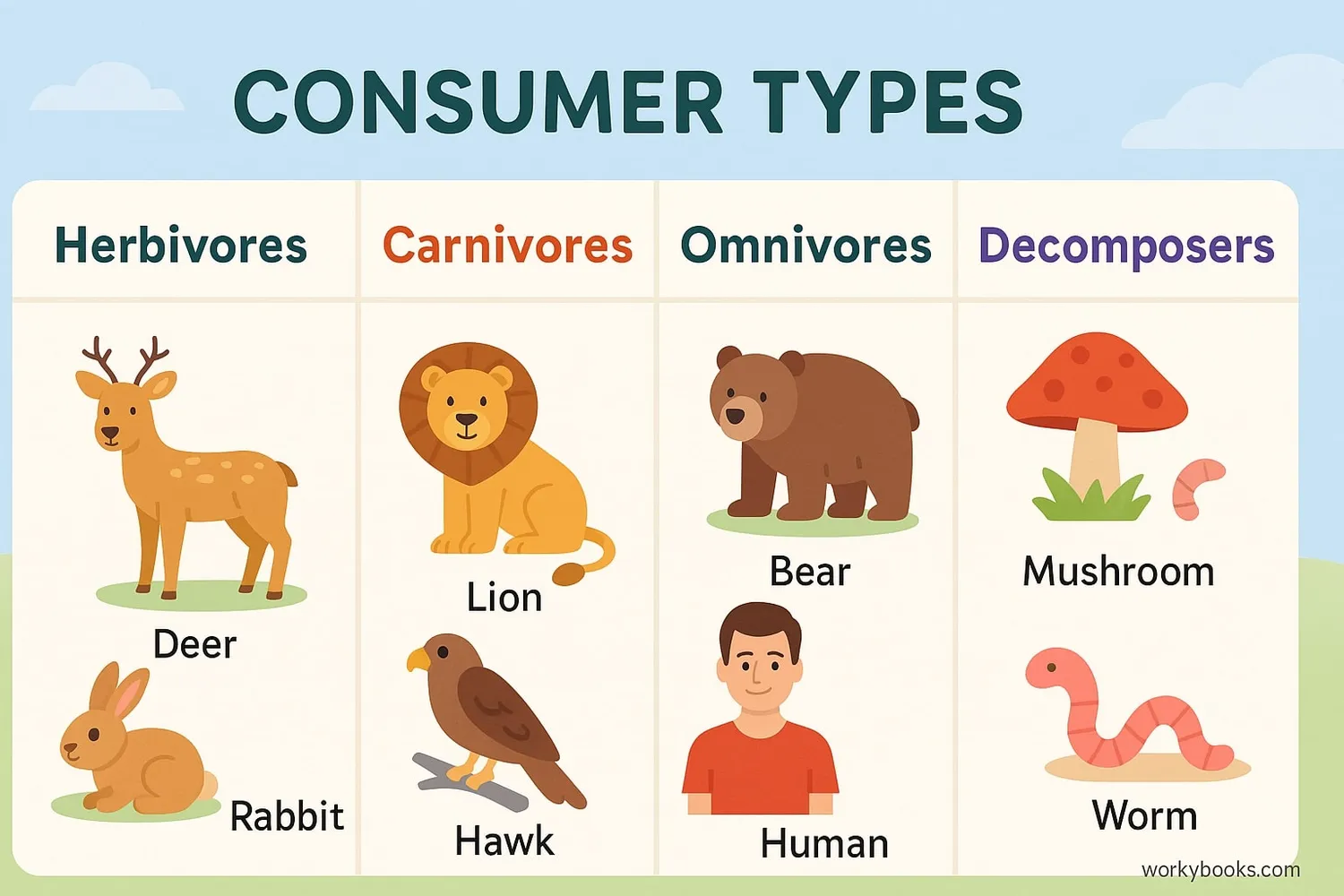 Illustration showing Types of consumers in ecosystems