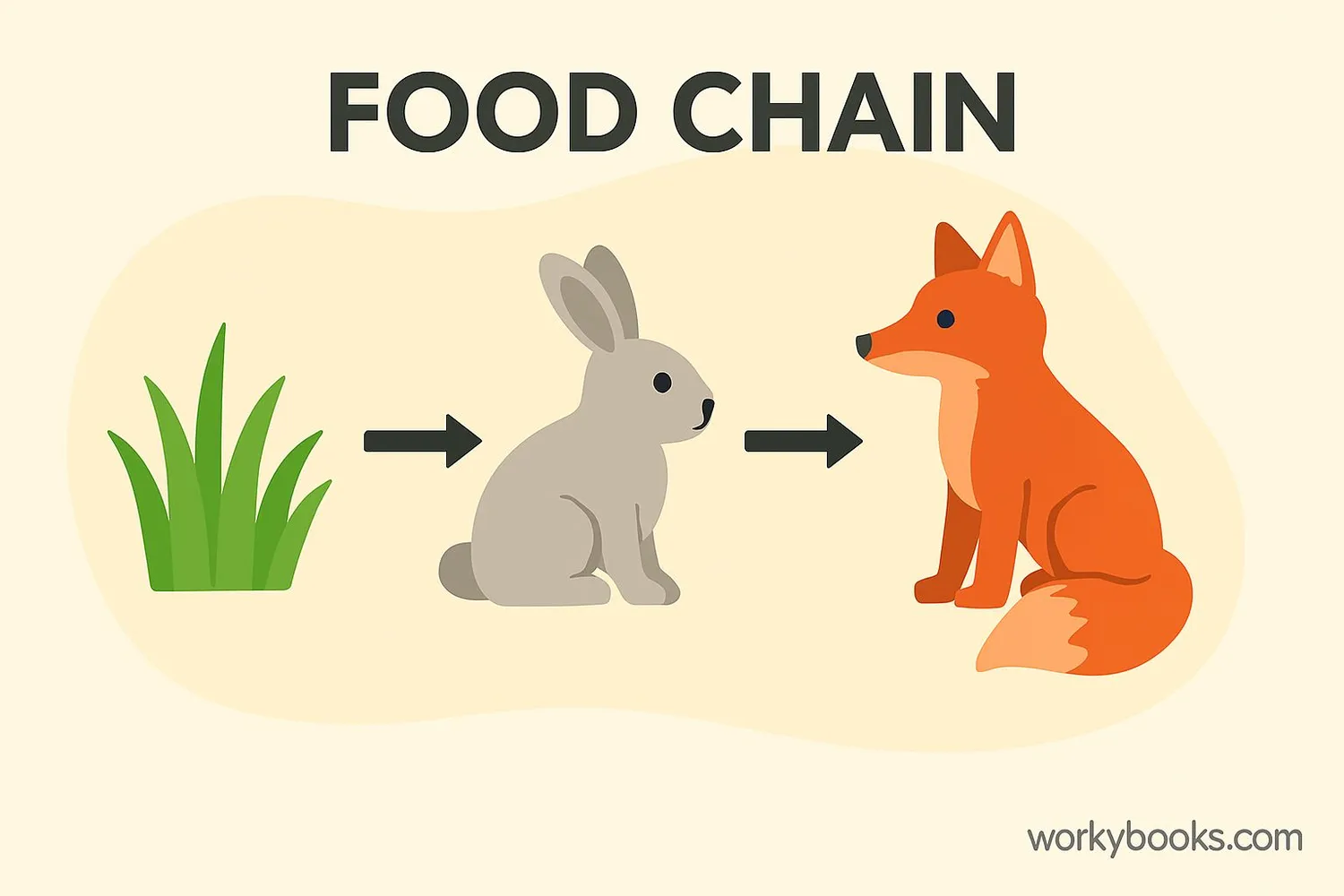 Illustration showing a simple food chain