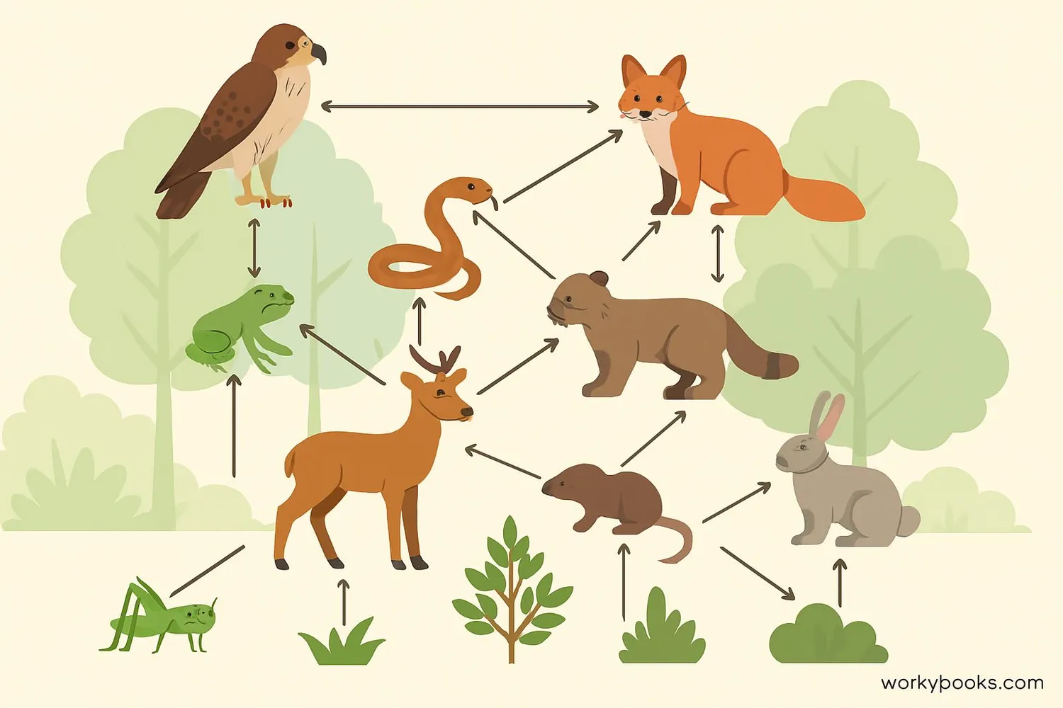 Illustration of a complex food web