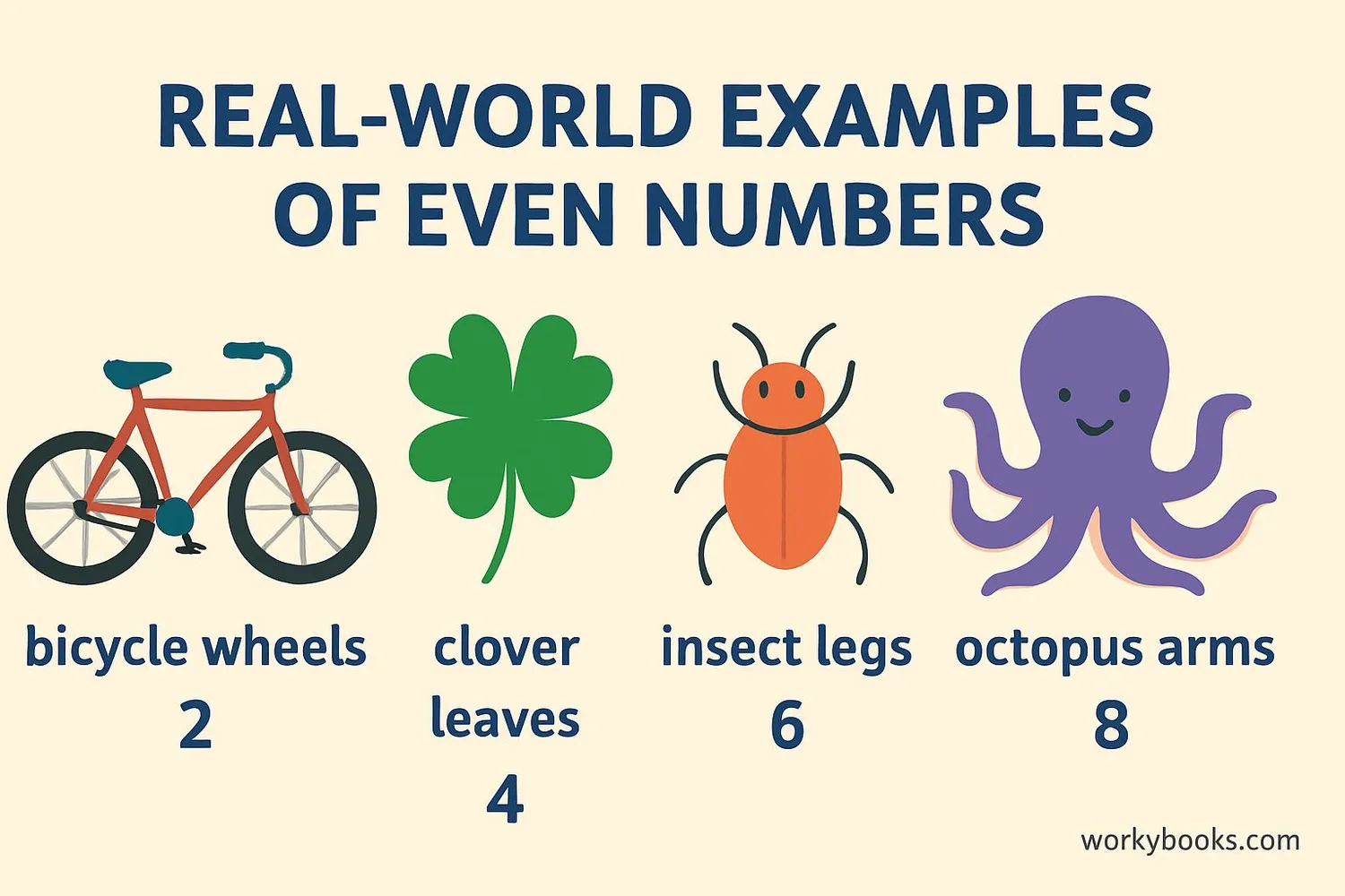 real-world examples of even numbers: bicycle wheels (2), clover leaves (4), insect legs (6), octopus arms (8)