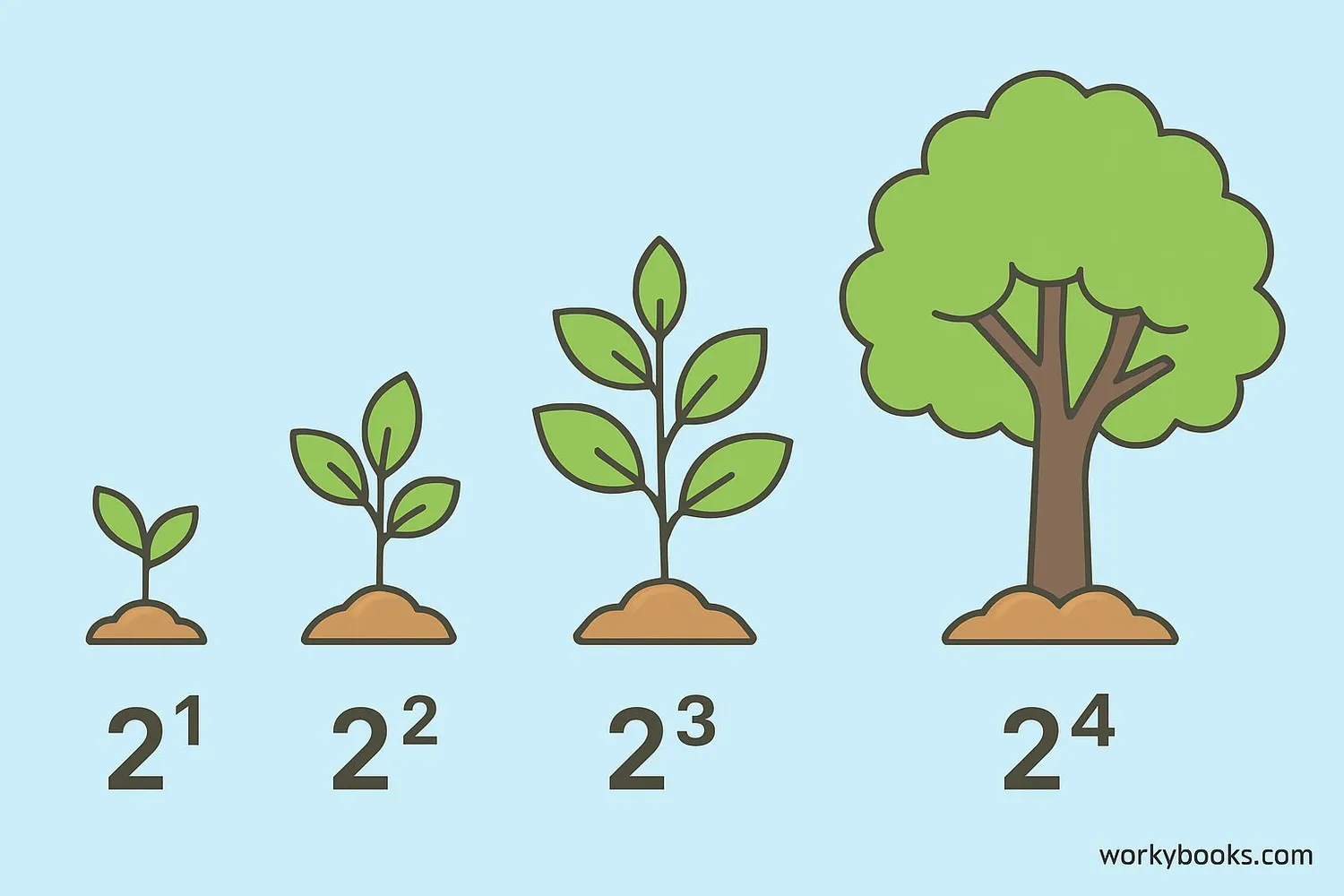 Visual representation of exponential growth