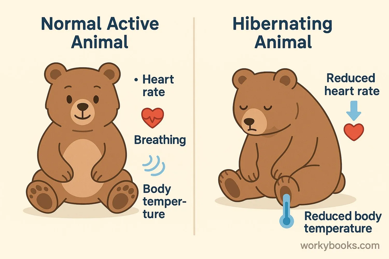 Diagram showing body changes