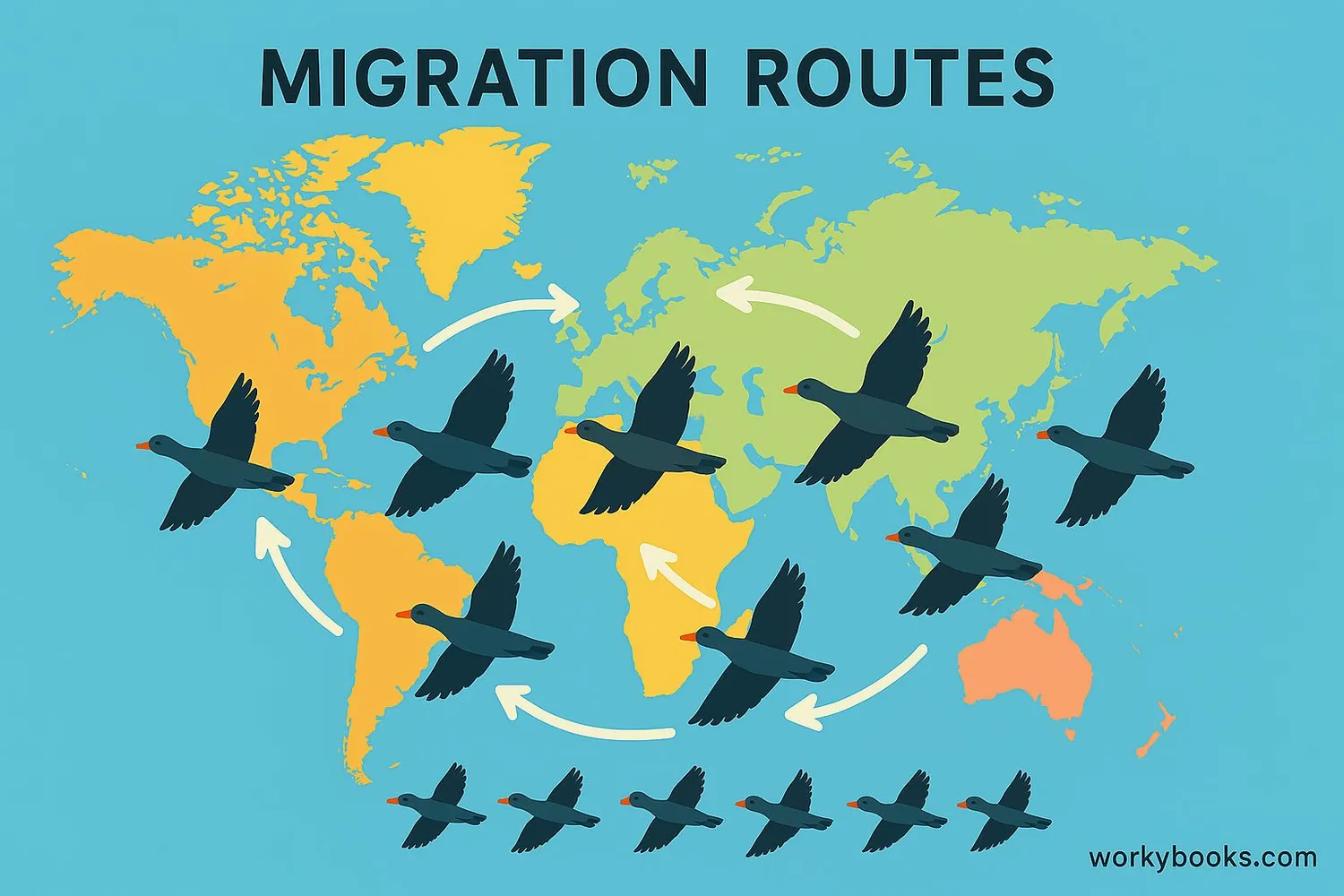 Visual representation of animal migration