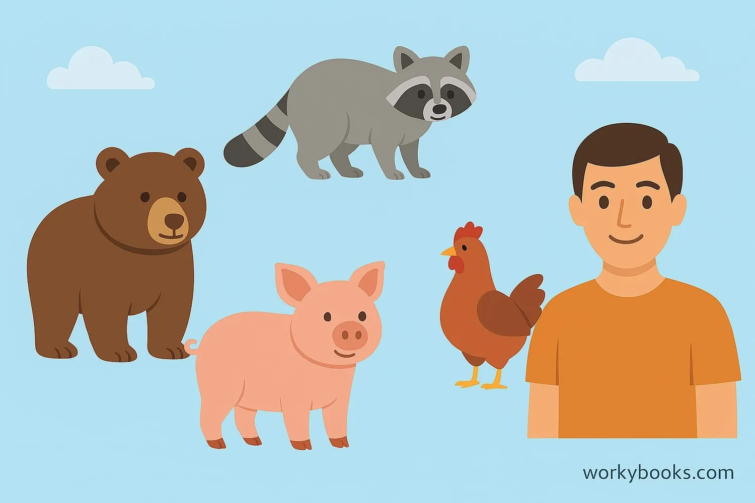 Collage showing various omnivores: bears, raccoons, pigs, chickens, and humans