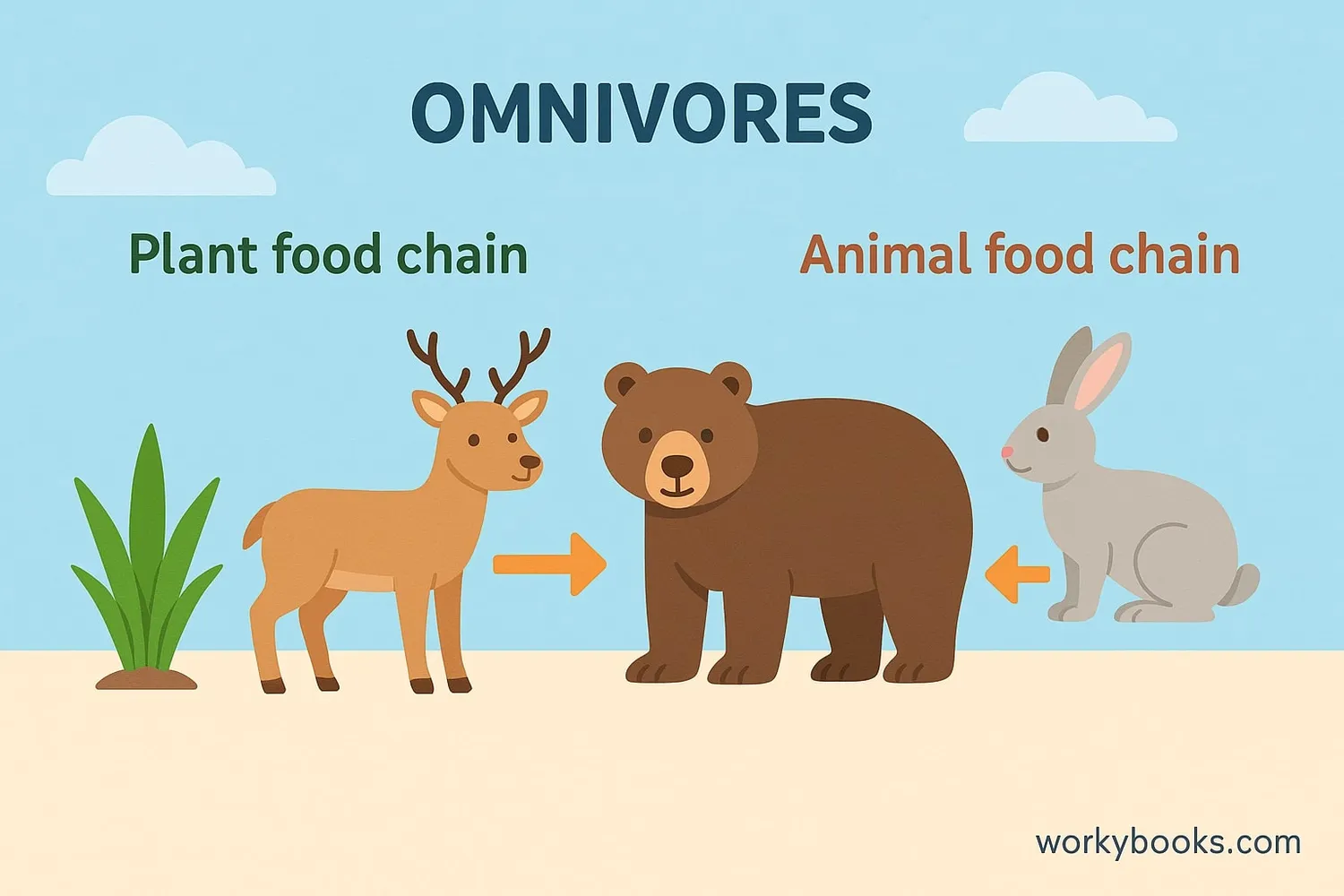 Illustration showing omnivores in the food chain connecting plants and animals