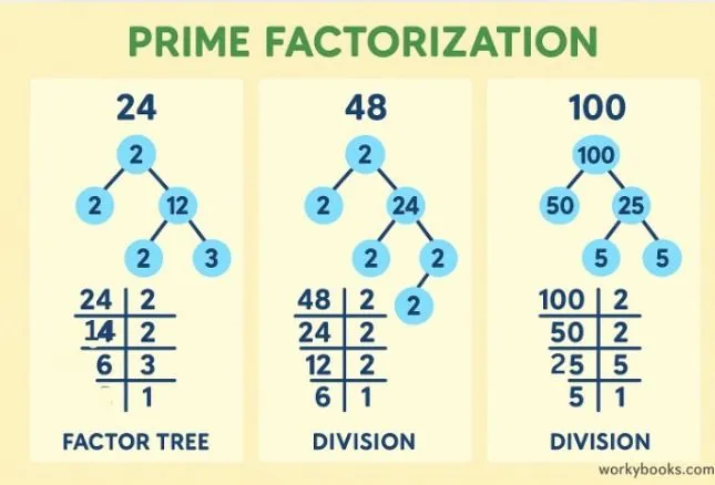 Multiple examples of prime factorization for numbers like 24, 48, and 100