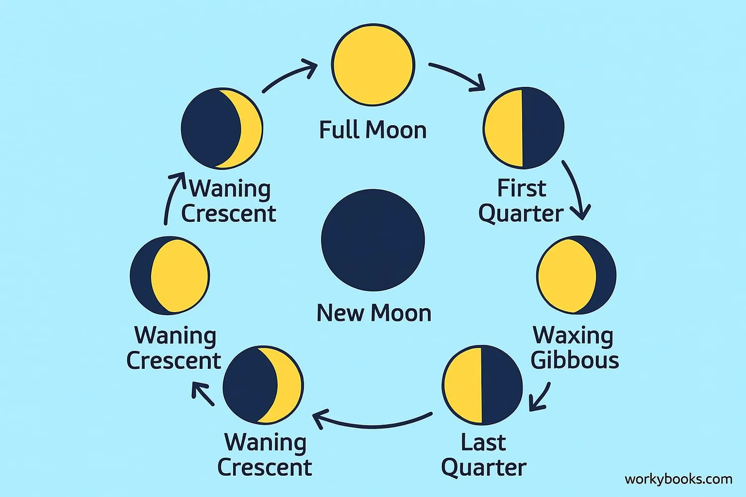 Diagram showing the eight phases of the moon