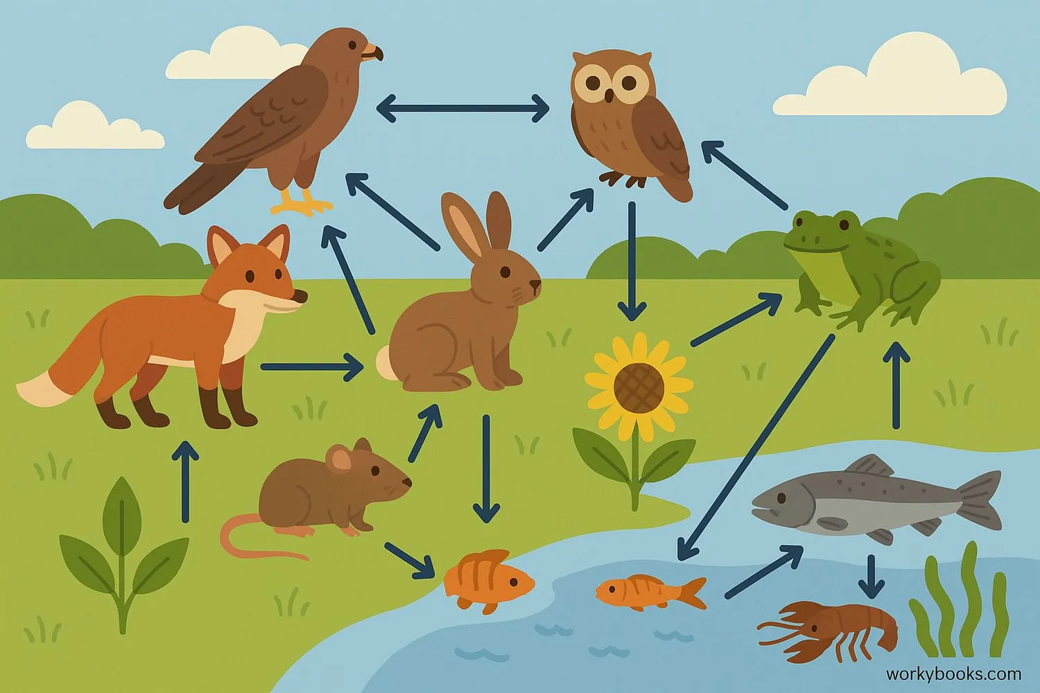 Food web diagram showing predator-prey relationships with arrows between different animals and plants