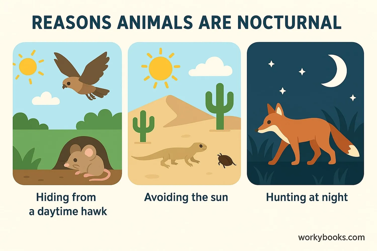 Illustration showing reasons animals are nocturnal: avoiding predators, escaping heat, hunting advantages