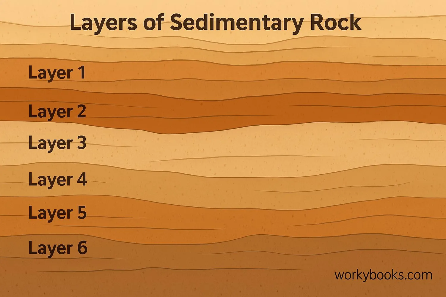 Sedimentary rock layers showing stratification