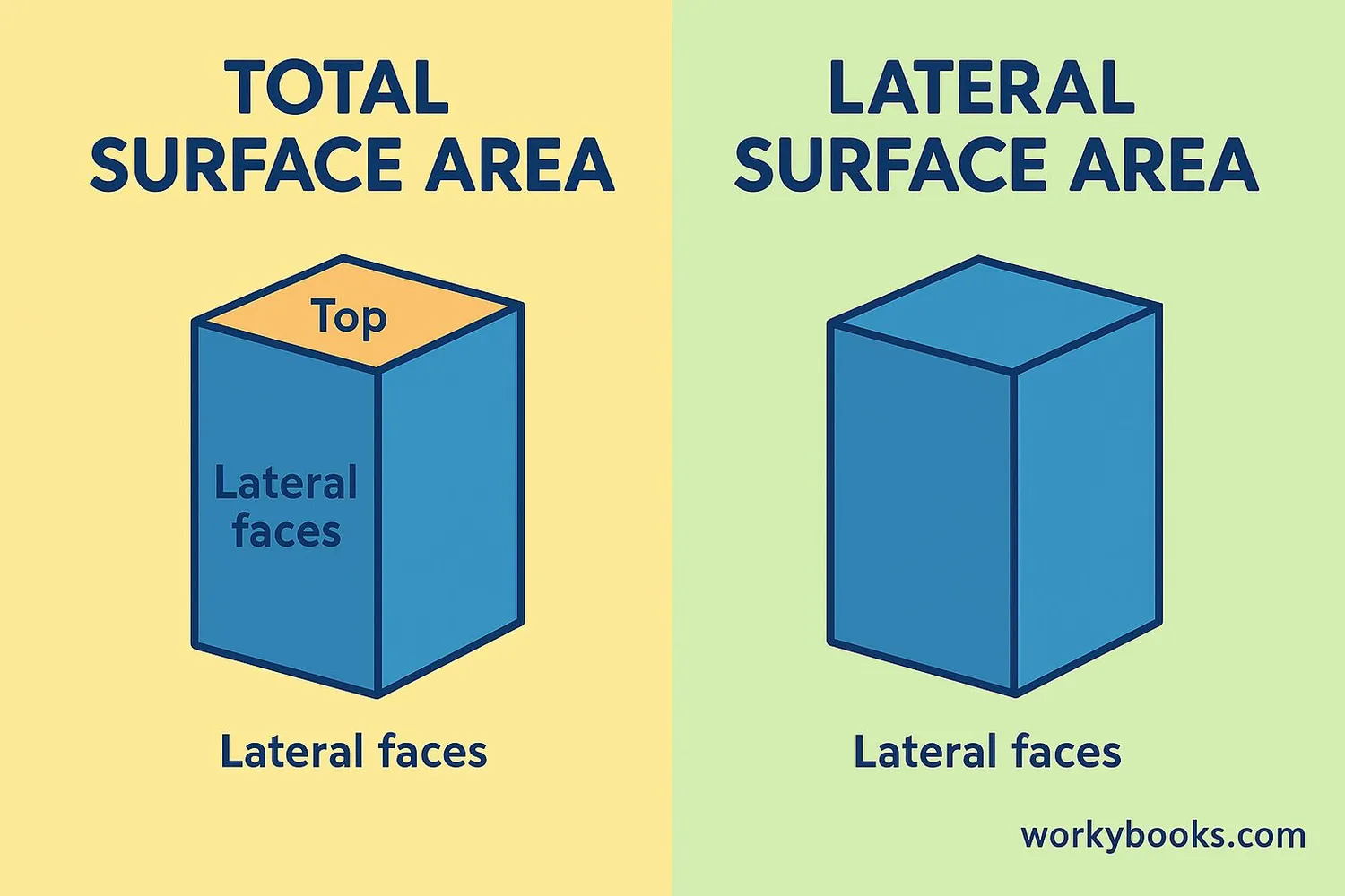 Diagram showing the difference between total surface area and lateral surface area
