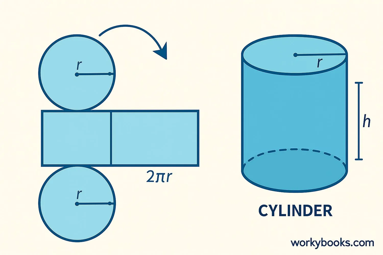 Diagram showing a cylinder and its net with two circles and a rectangle labeled with radius and height
