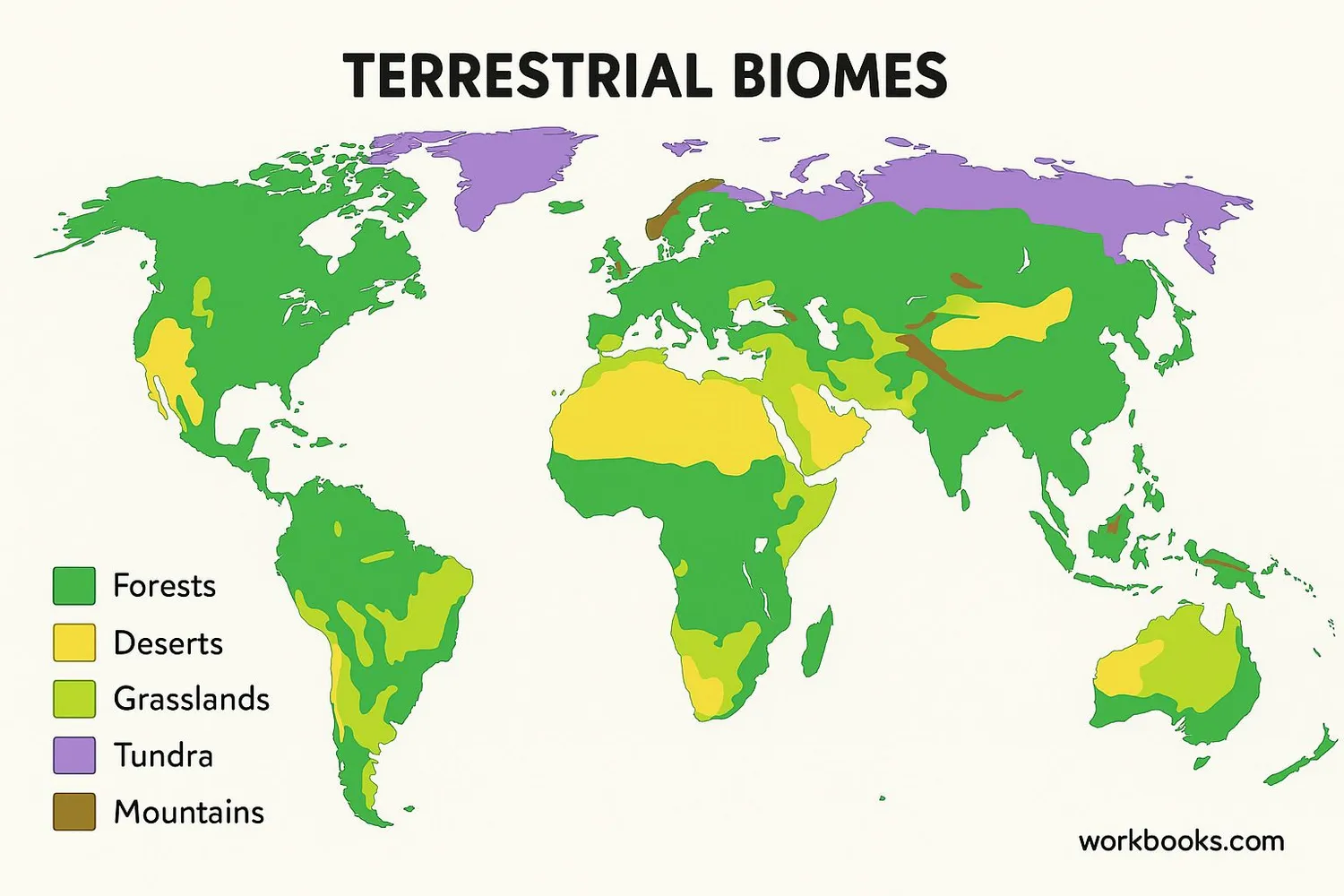 World map showing different terrestrial biomes