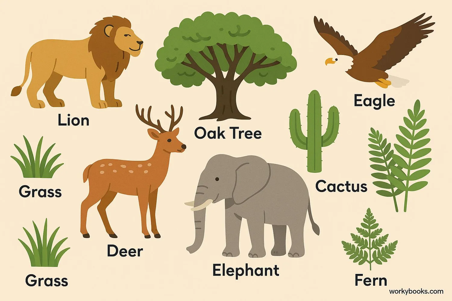Diverse terrestrial animals and plants