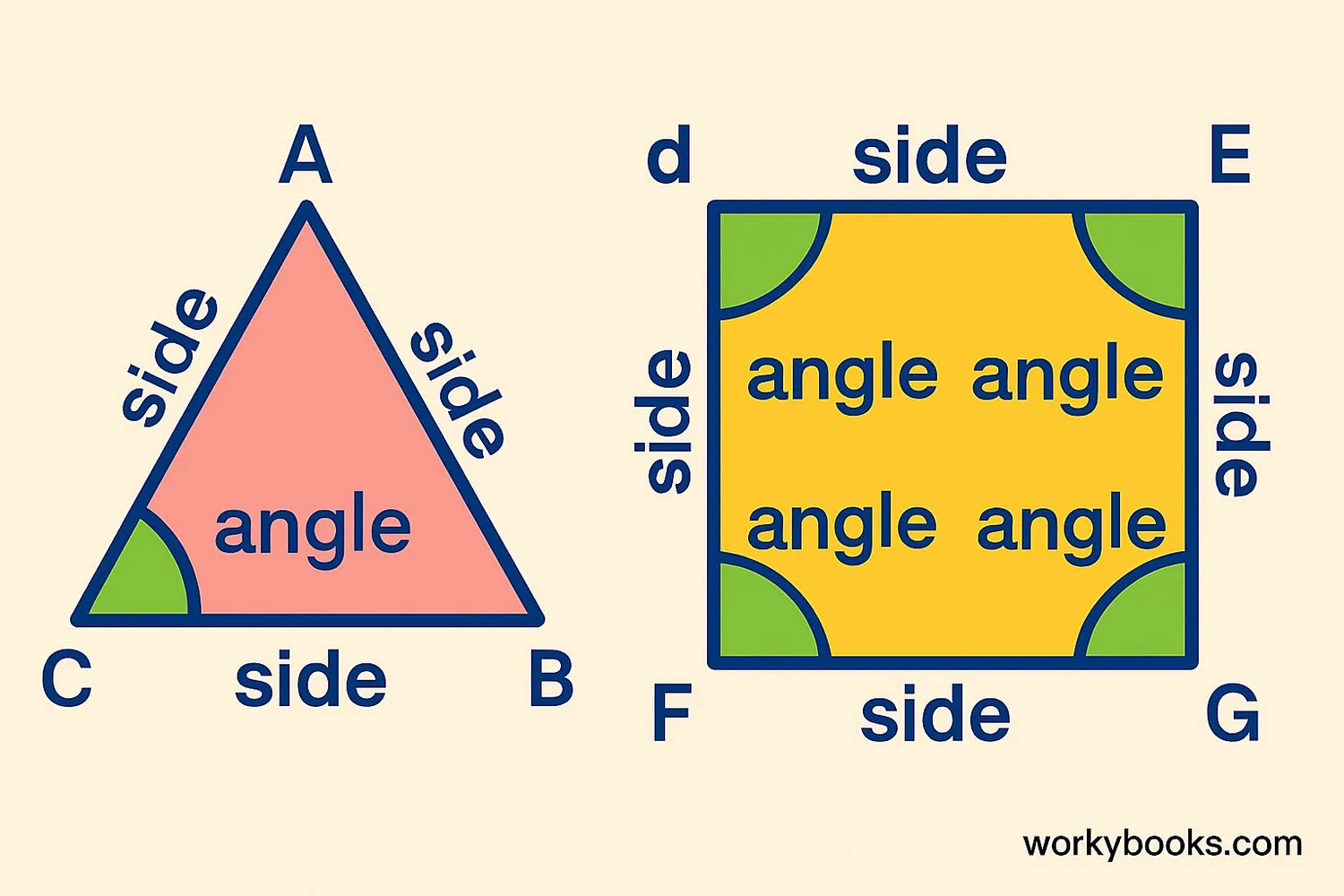 Illustration showing sides, vertices, and angles of a triangle and a square