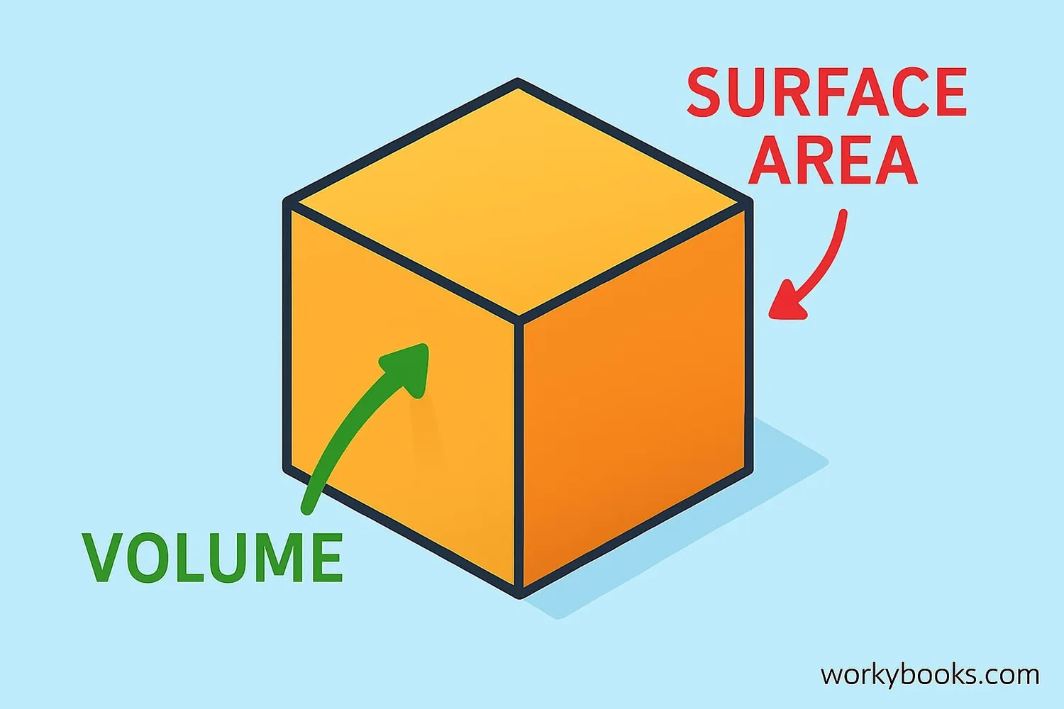 Visual representation of volume and surface area for a cube