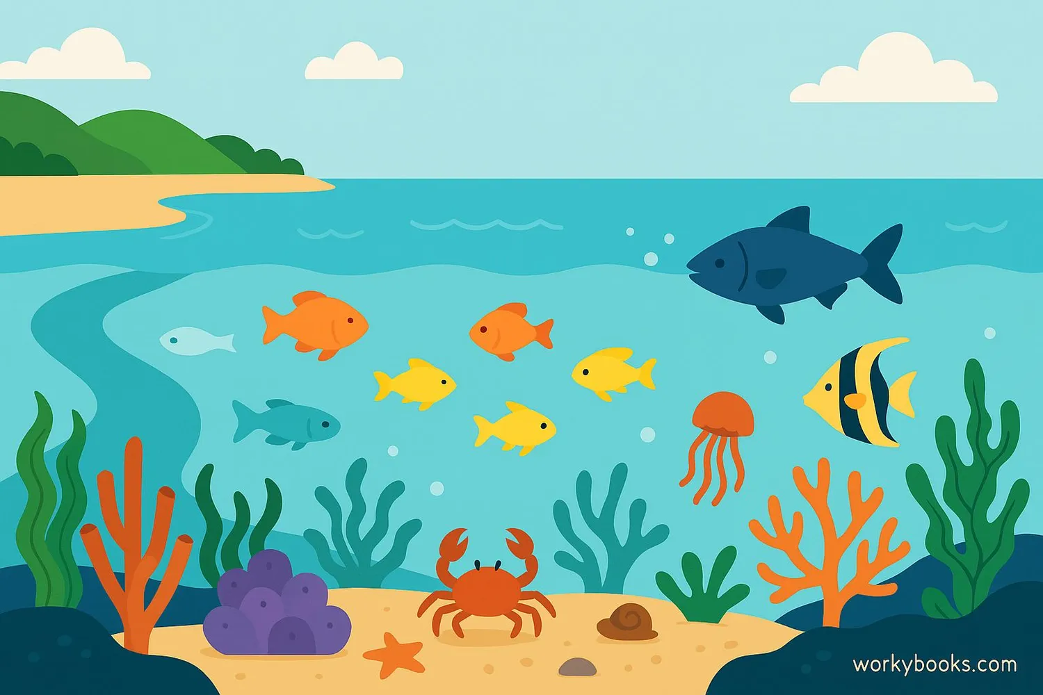 Illustration showing ocean, coral reef, and estuary ecosystems