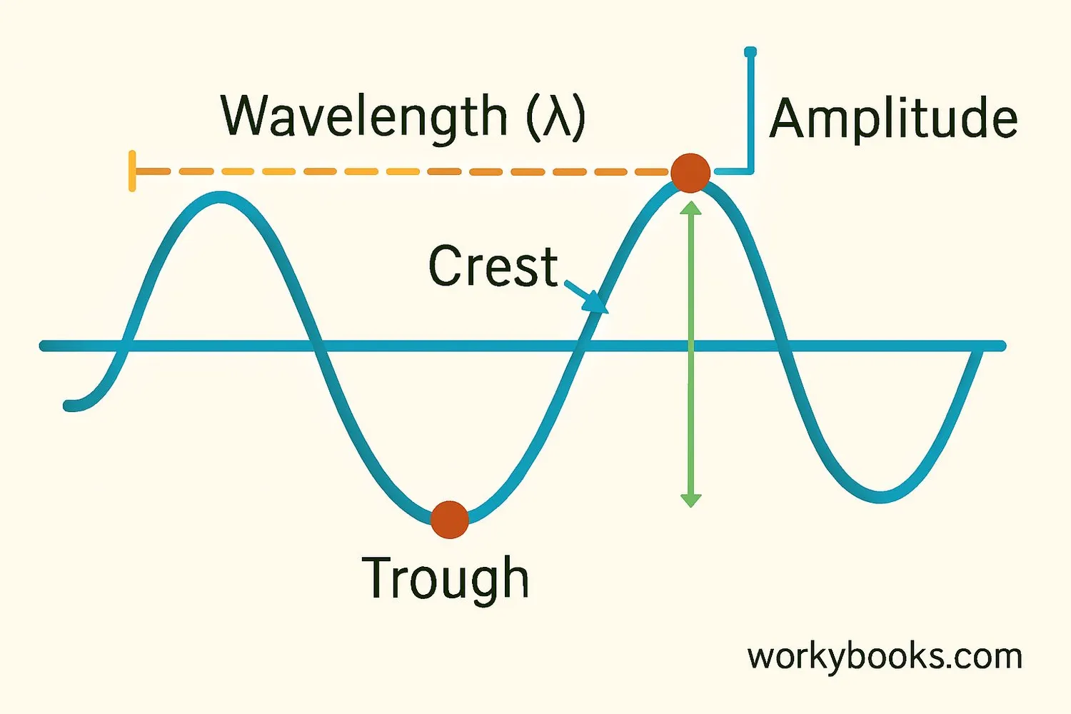 Transverse wave labeled with key features