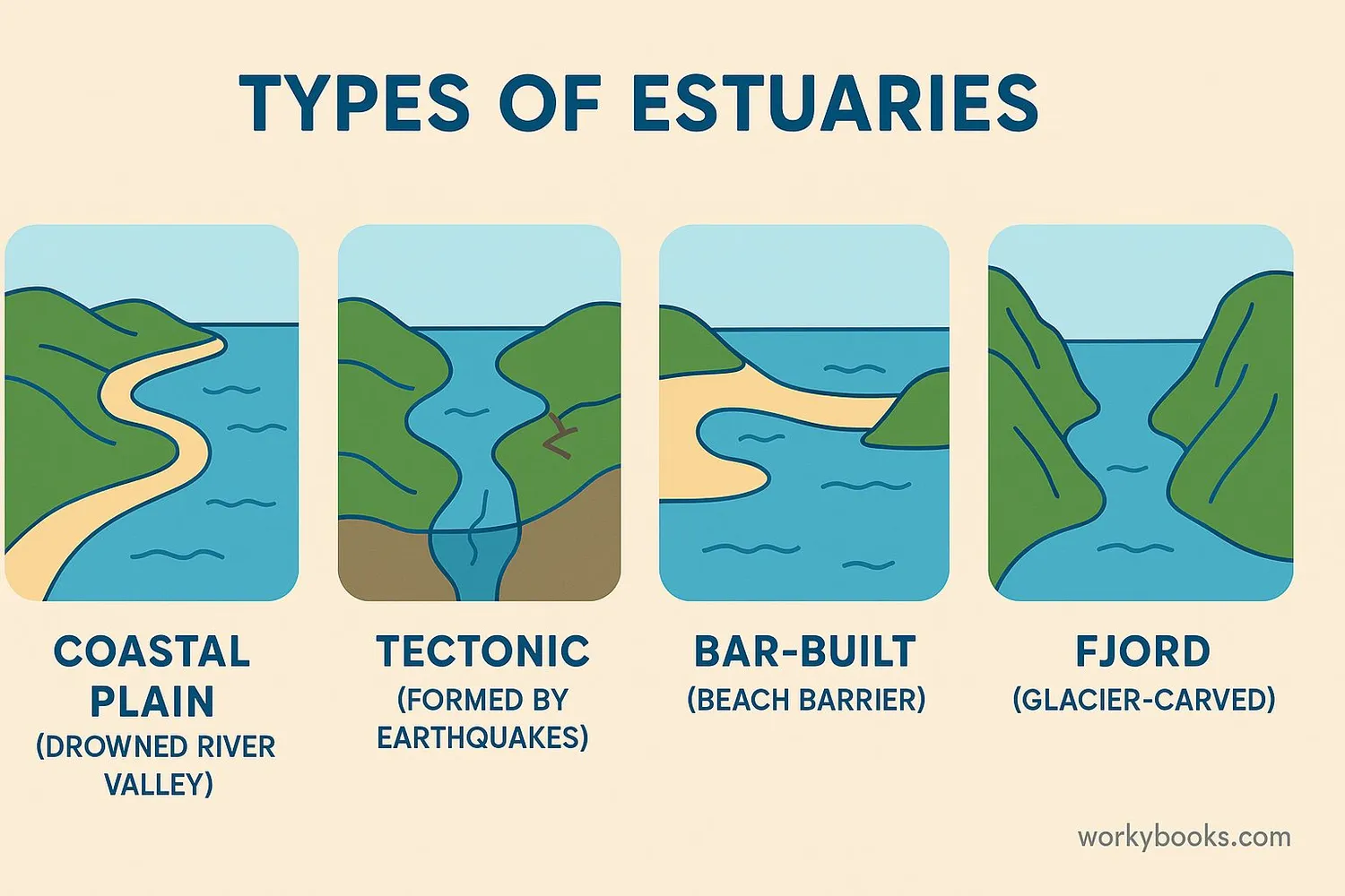 Diagram of different estuary types