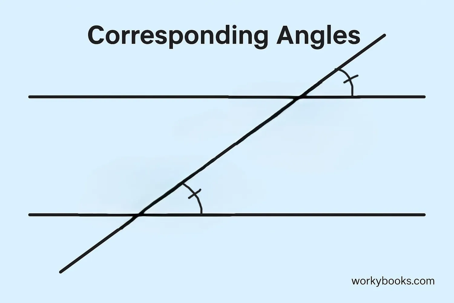 Corresponding angles are in matching positions relative to the transversal