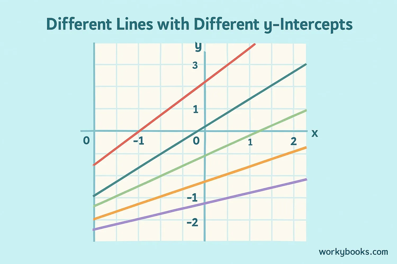 Different types of lines showing their y-intercepts