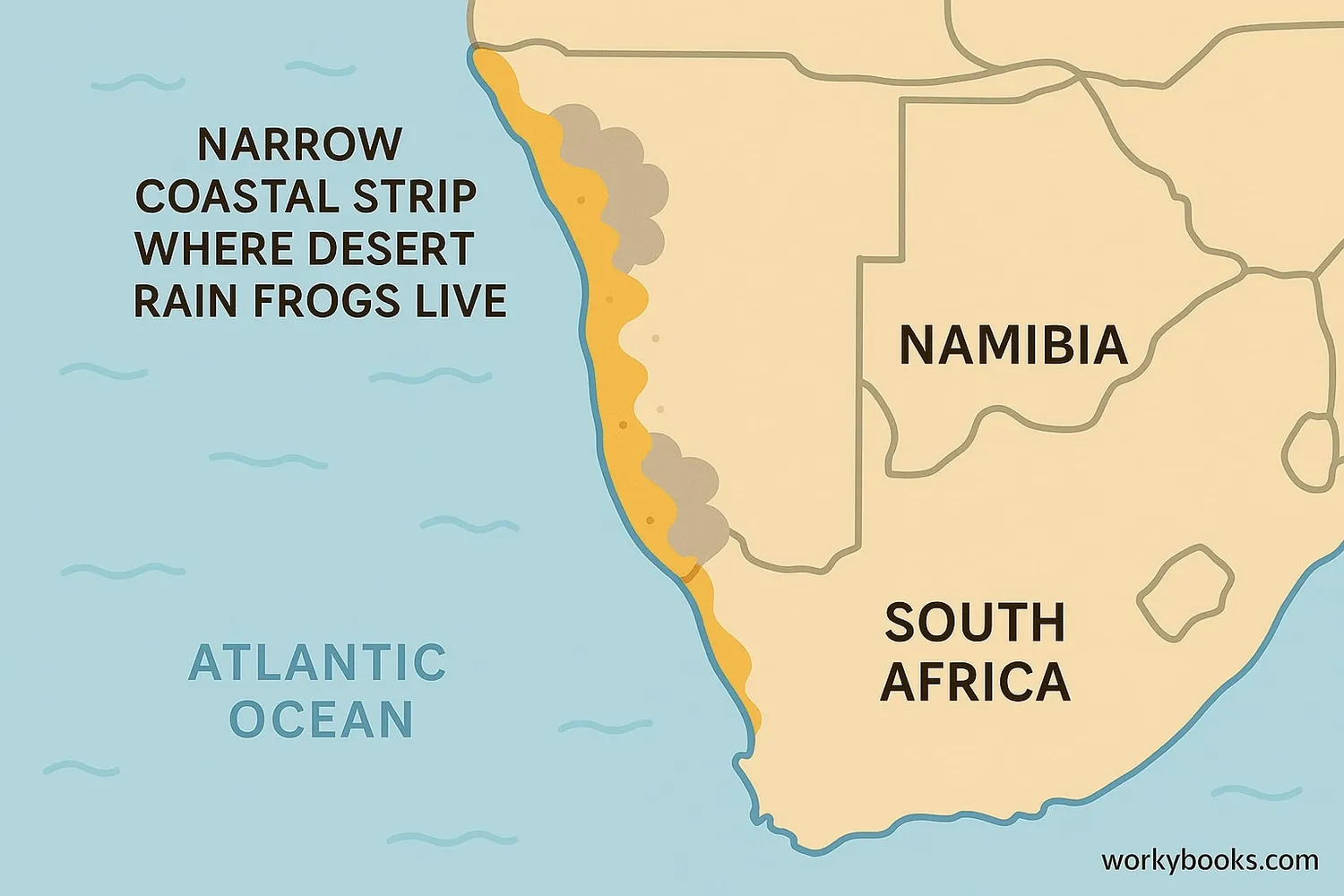 Map showing the distribution of Desert Rain Frogs along the coast of Namibia and South Africa