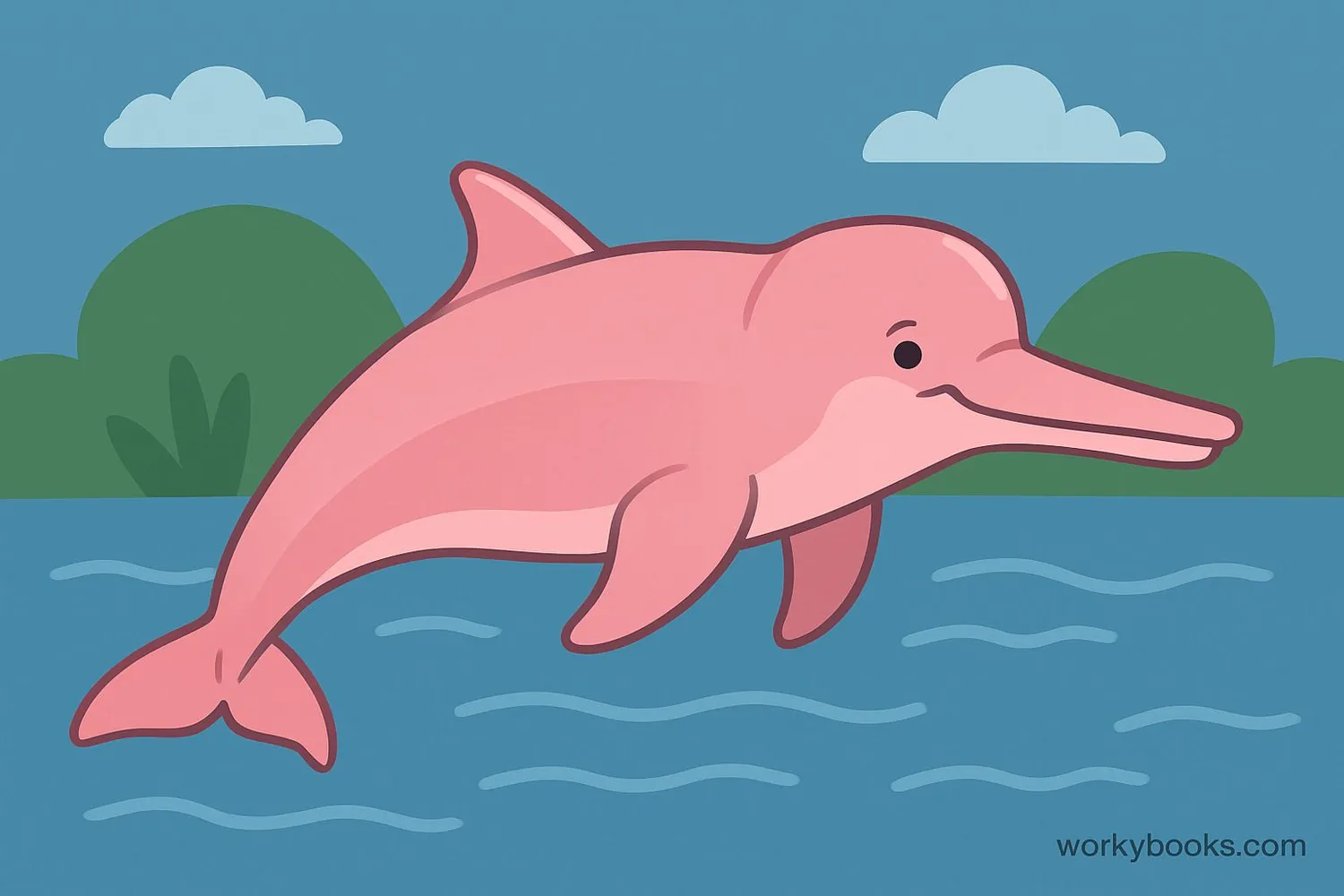Amazon River Dolphin