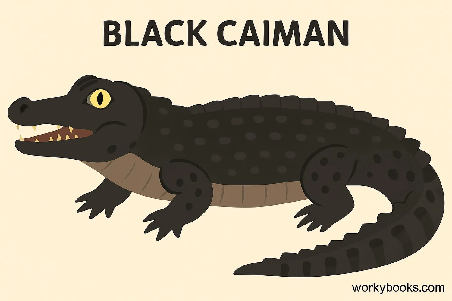 Black Caiman
