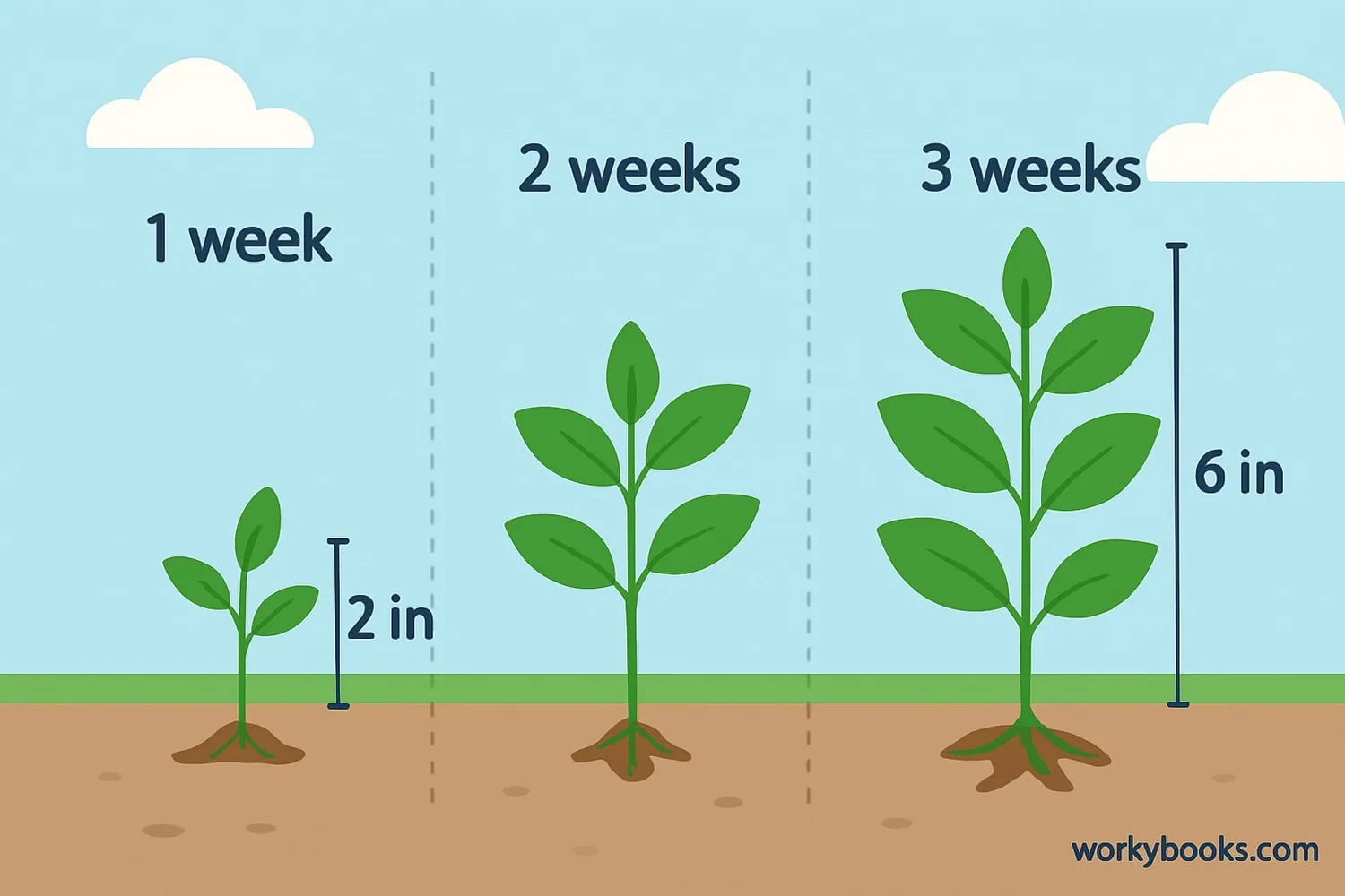 Plants growing is an example of rate of change