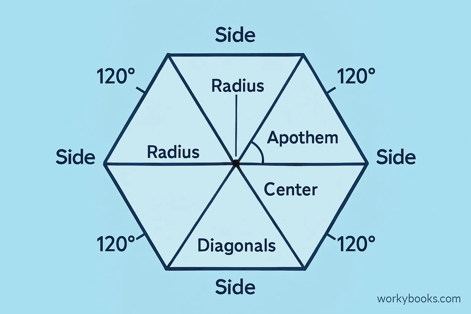 Regular hexagon with sides, angles, center point, radius, apothem, and diagonals labeled