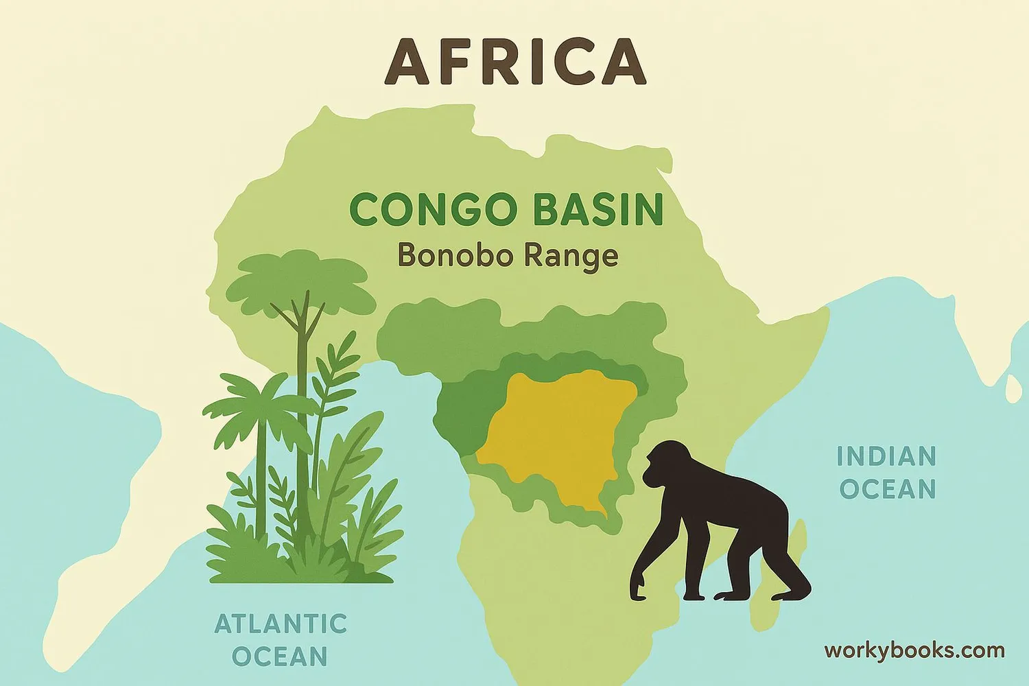 Map of bonobo habitat in the Congo Basin