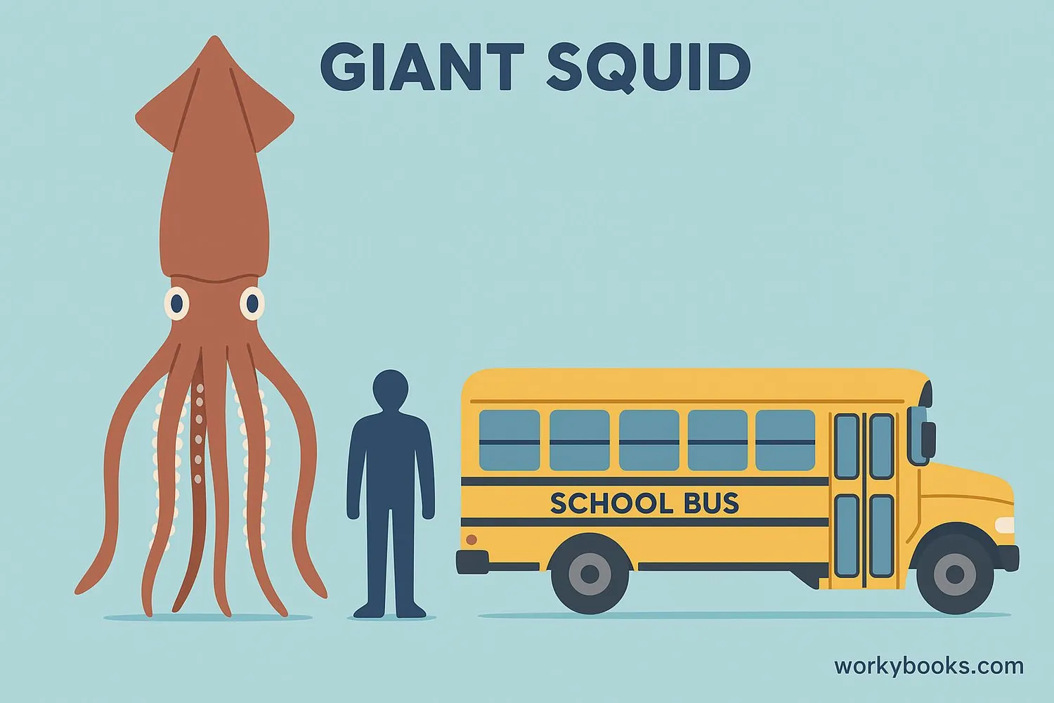 Size comparison of giant squid to human and school bus