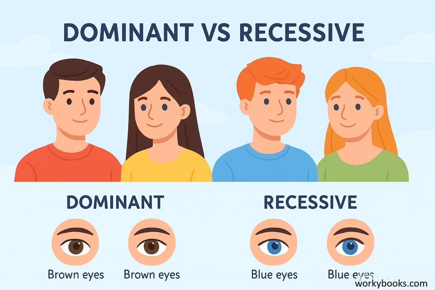 Examples of dominant and recessive traits
