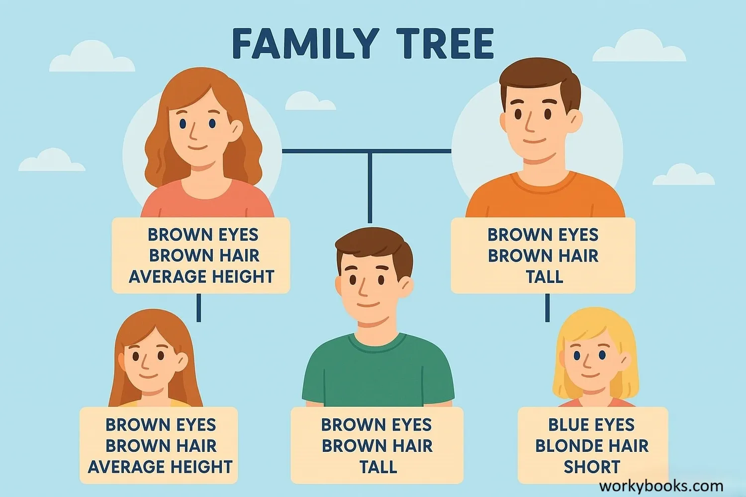Illustration showing how traits pass from parents to children