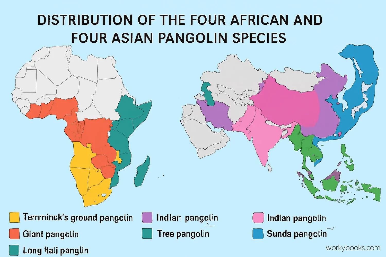 Map showing pangolin distribution