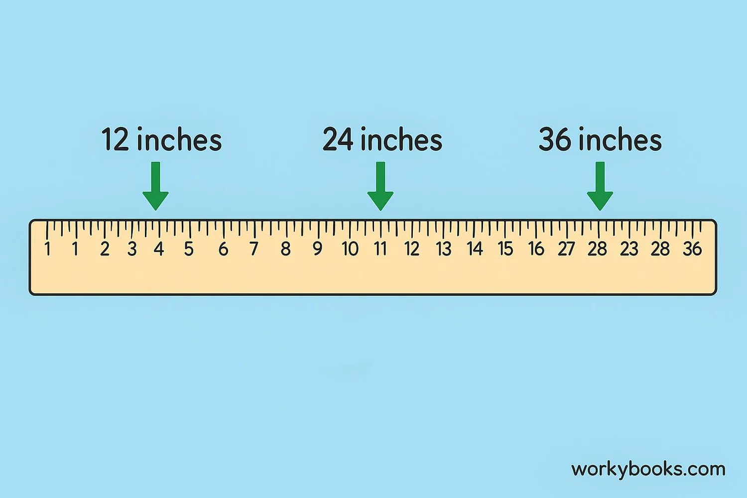 Visual representation of a yardstick