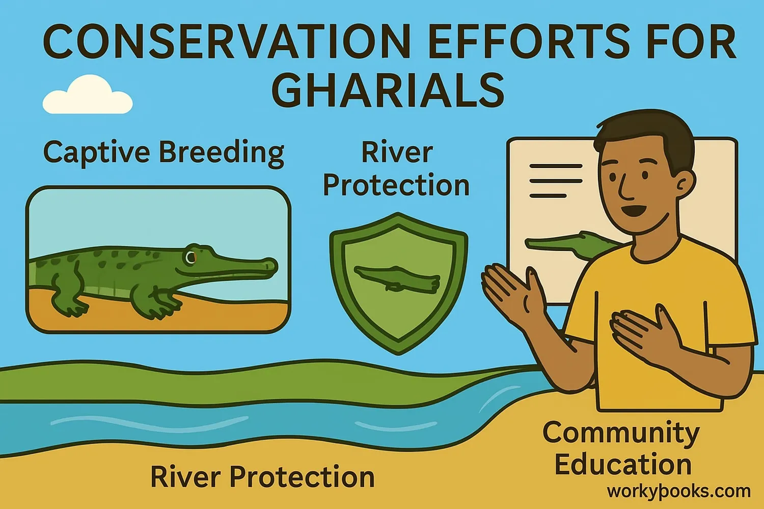 Illustration showing conservation efforts for gharials