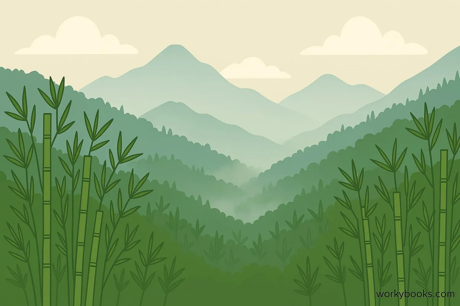 Bamboo forest in mountainous region of China