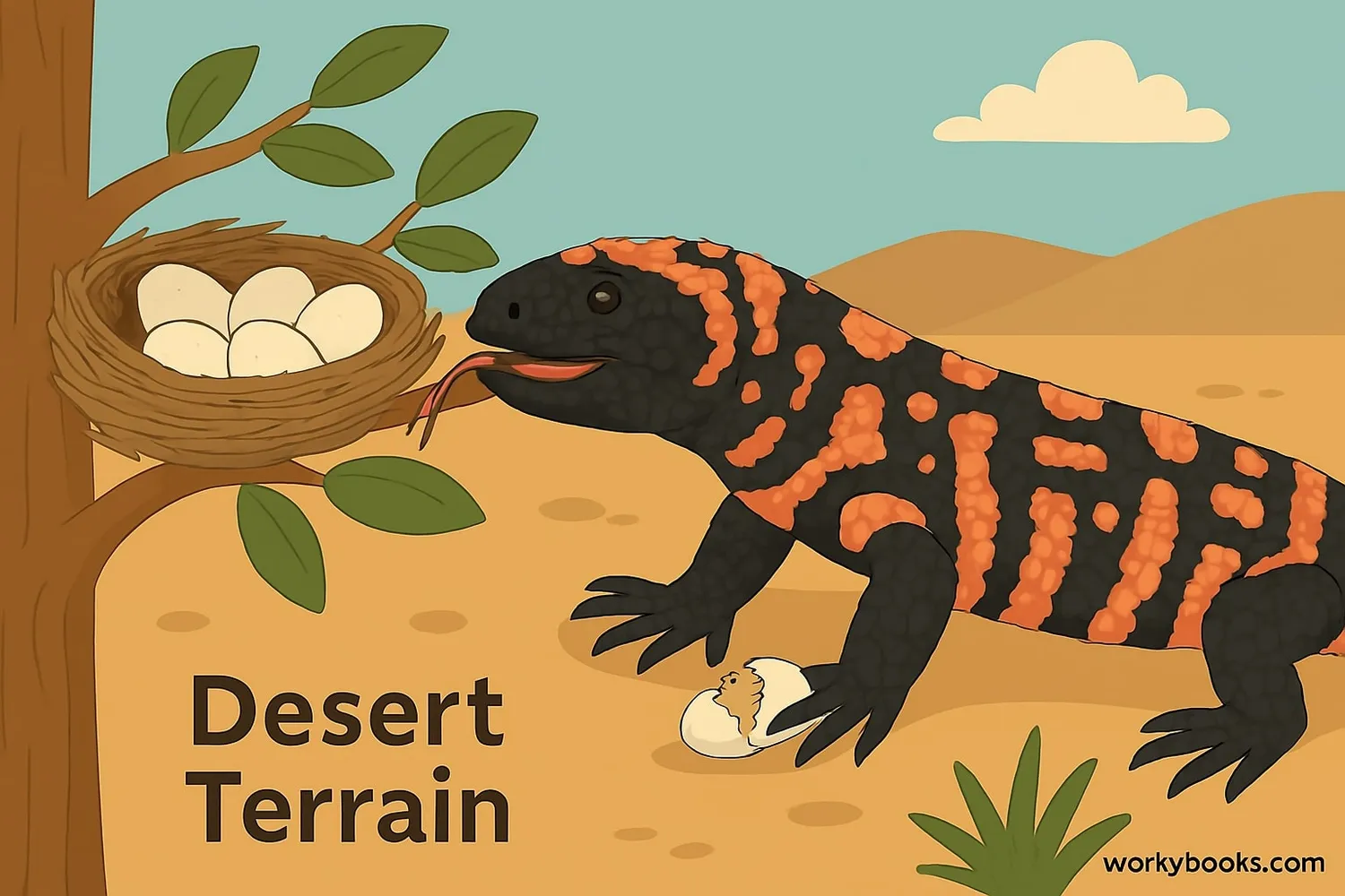 Gila monster eating bird eggs