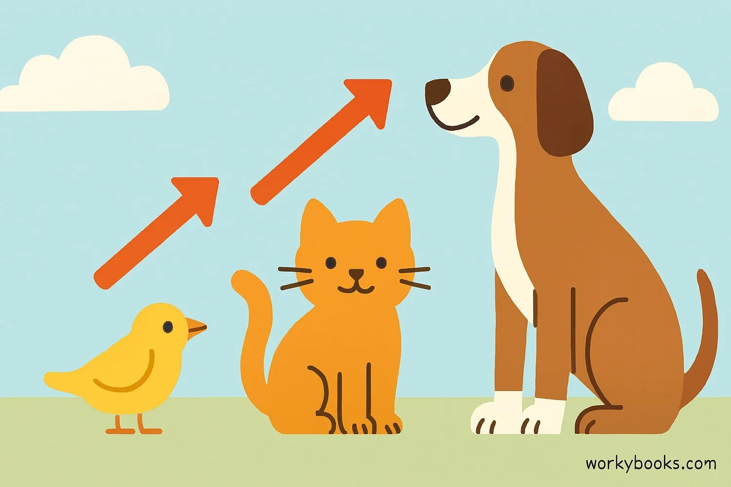 Three animals arranged by height from shortest to tallest: a small bird, then a cat, then a tall dog, with arrows showing the ascending order