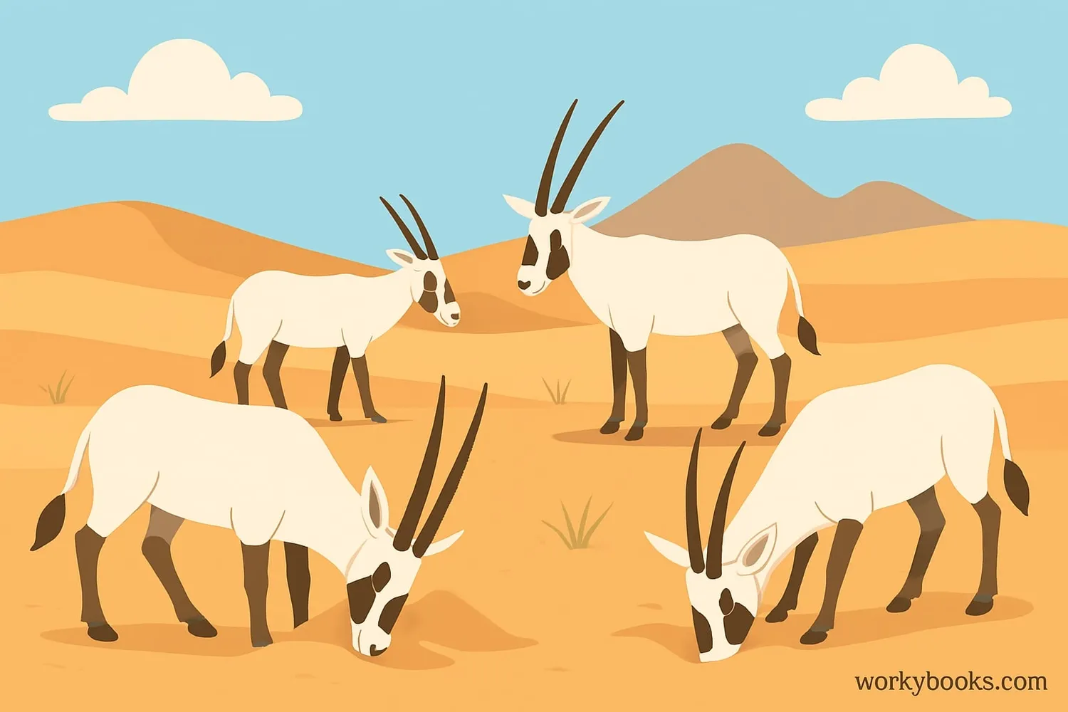 Arabian Oryx finding water in the desert