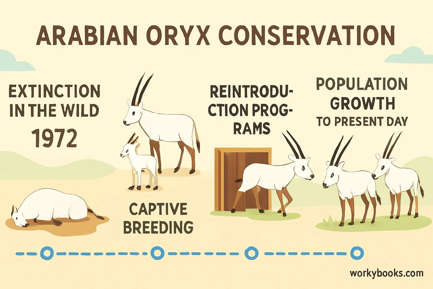 Conservation journey of the Arabian Oryx