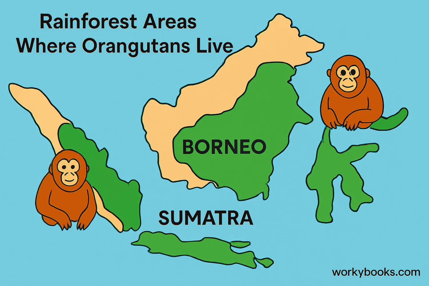 Map showing orangutan habitats in Borneo and Sumatra