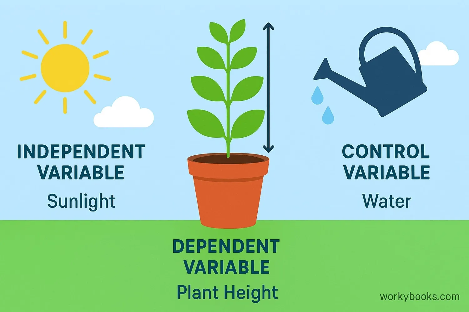 Different types of variables in a science experiment