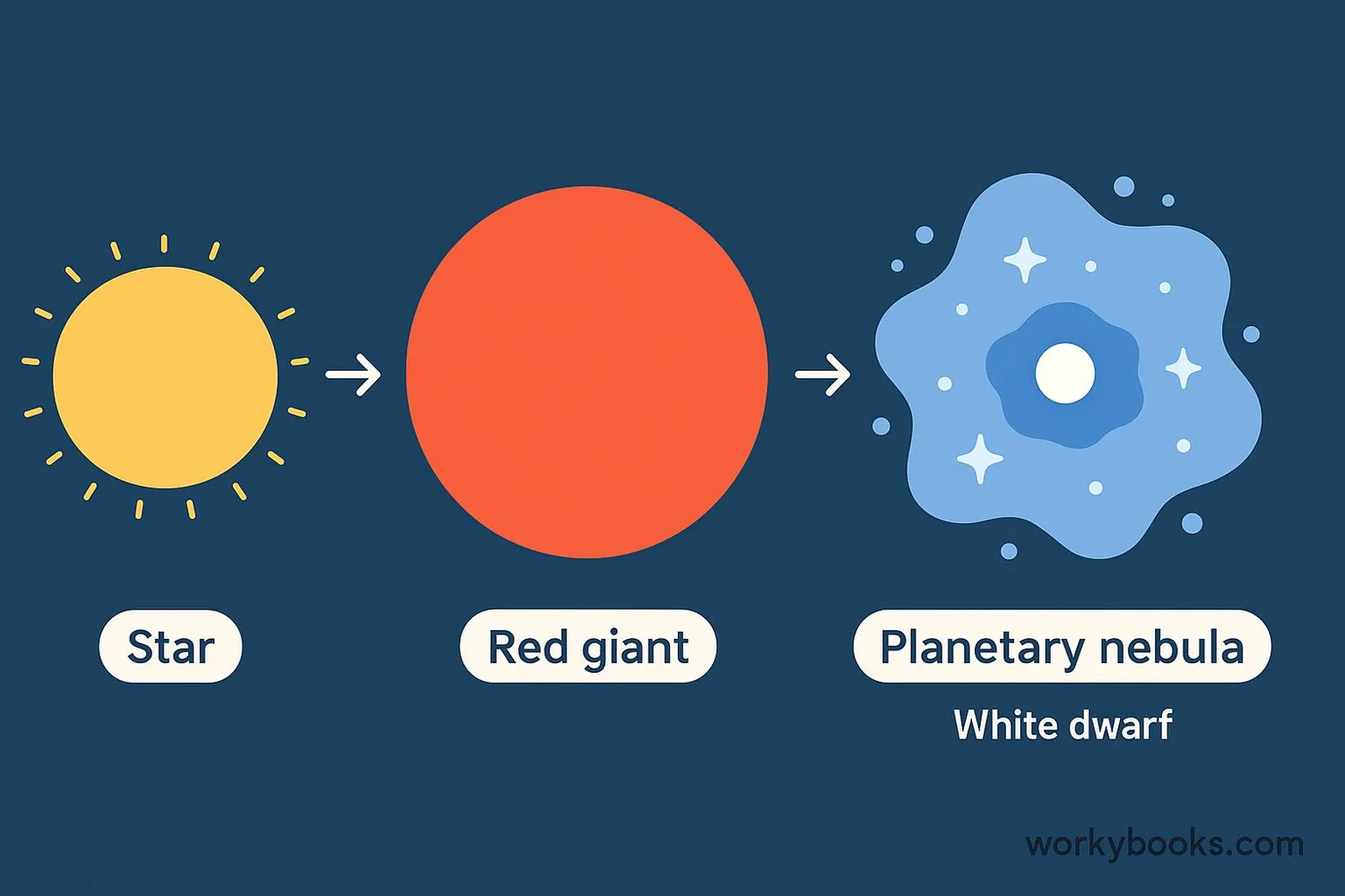 Diagram showing the formation of a white dwarf