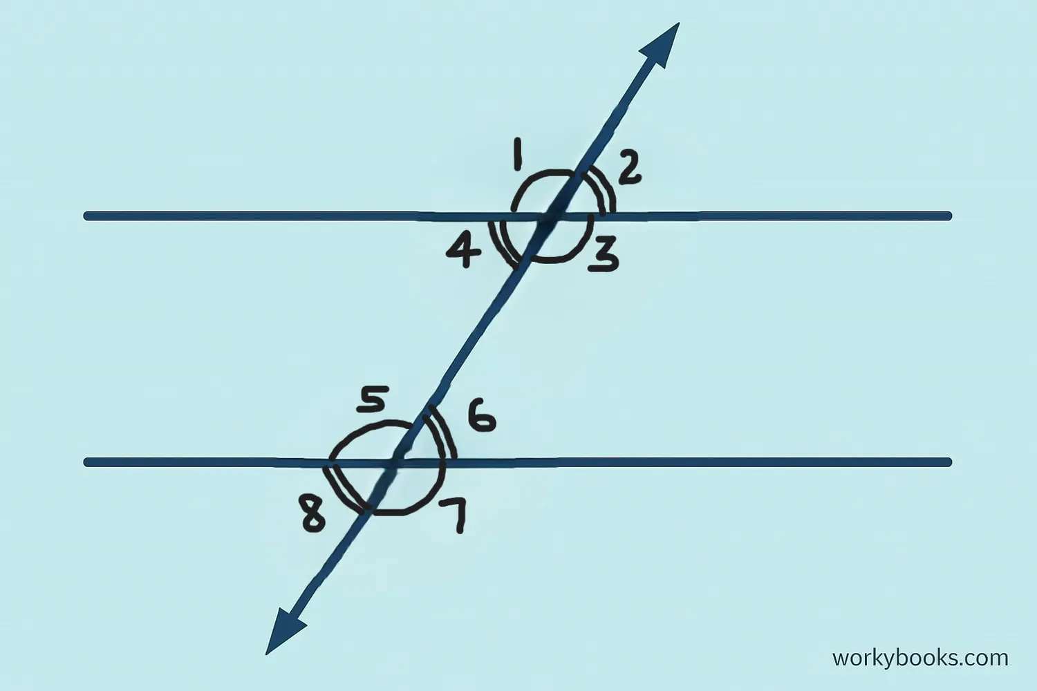 Angle relationships when a transversal crosses parallel lines