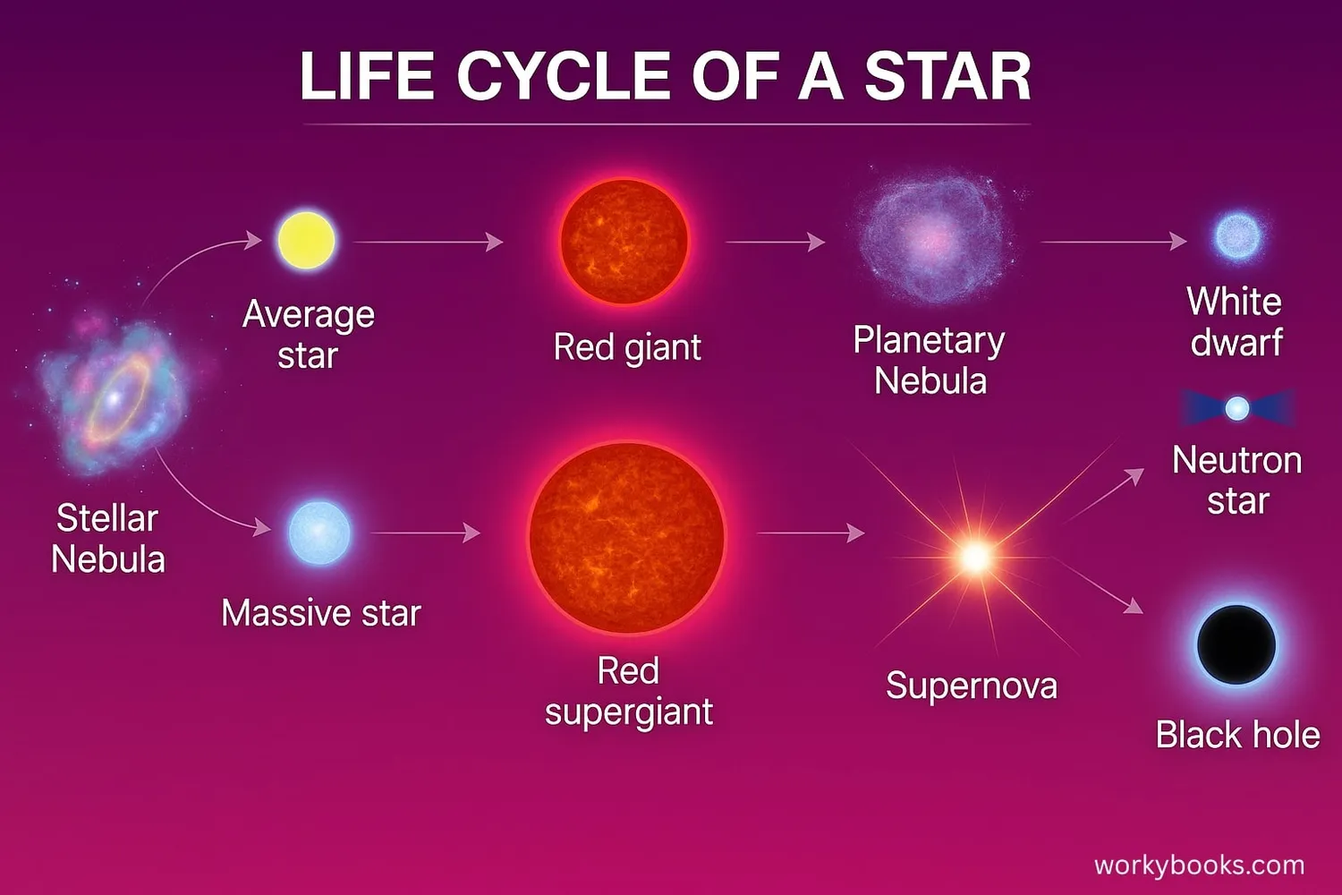 Diagram showing the complete life cycle of a star