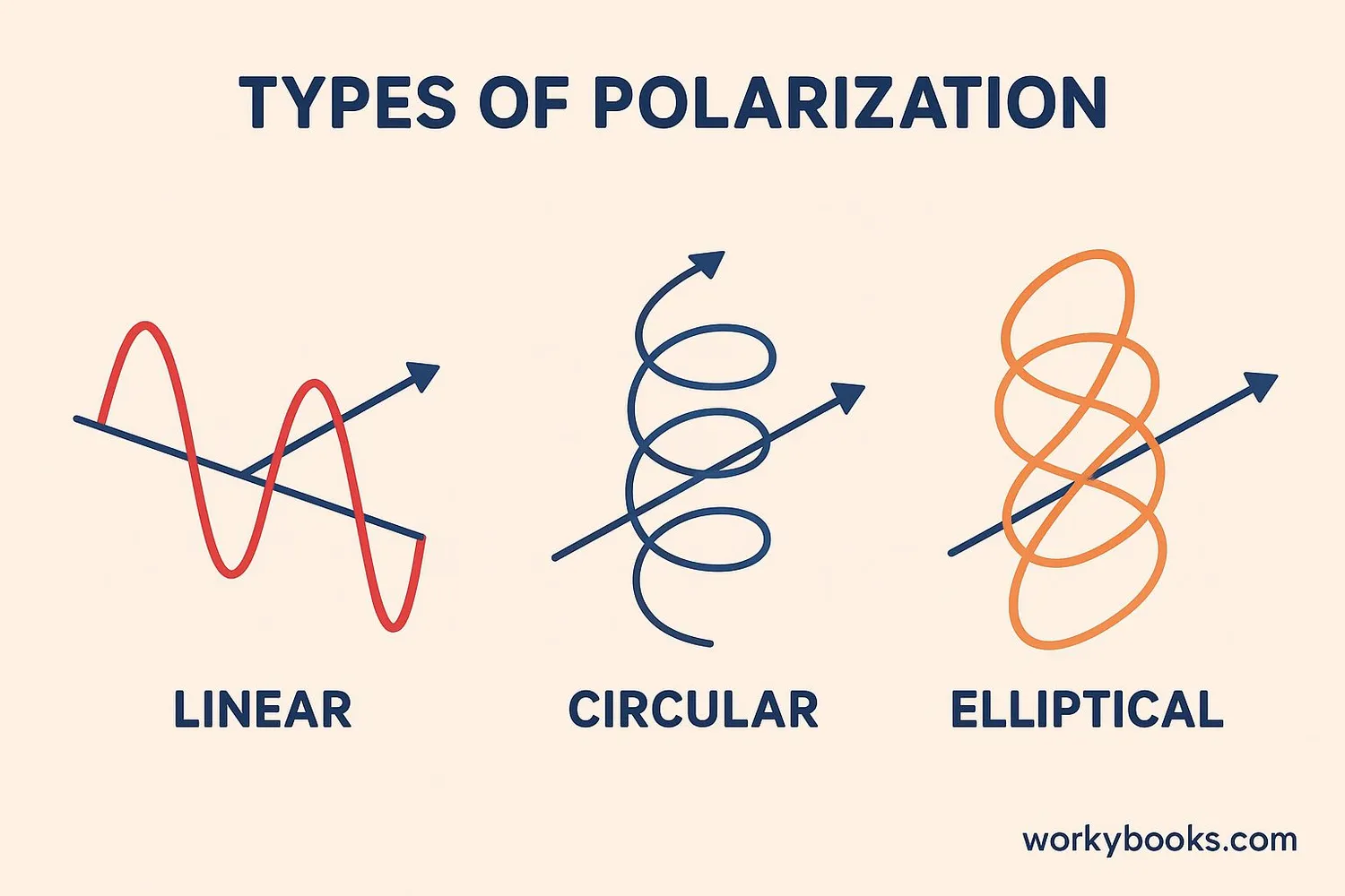 Different types of polarization